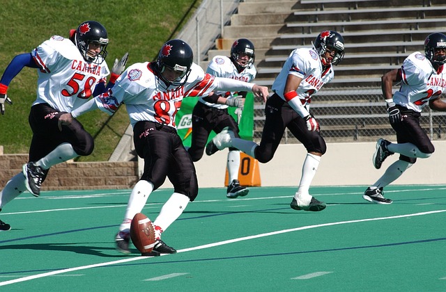 常见价格区 常见价格区