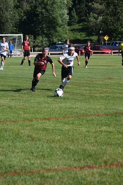 非单独决策 非单独决策