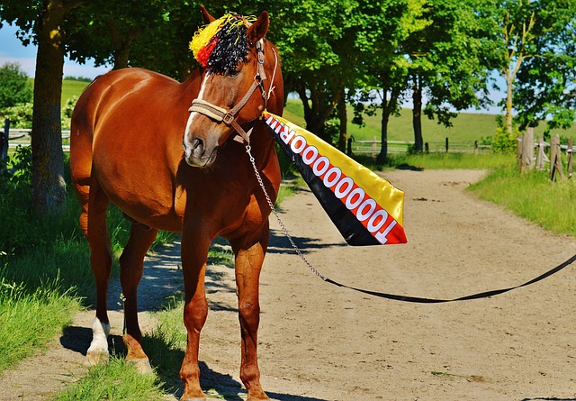 的角色一直 的角色一直