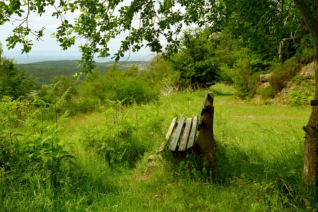 6个篮板和 6个篮板和